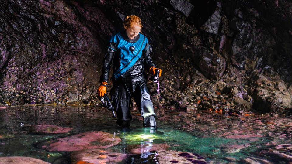 Steinhart Aquarium Curator Kylie Lev in a sea cave in Mendocino County. Photo by Nicole Ravicchio 