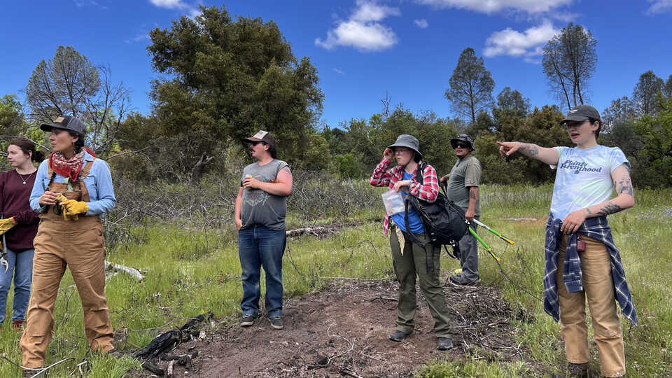 A group of participants surveys a plot of tilled over soil and brush, preparing to start burning. 